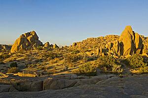 Joshua Tree National Park, California 