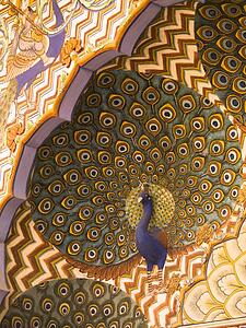 Peacock design