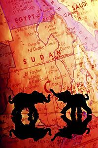Elephant silhouettes in front of a map