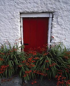 A red door