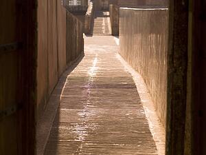 Amber Fort, Jaipur, India 