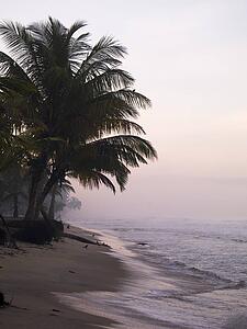 Arabian Sea, Kerala, India 