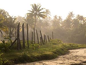 Kerala, India 