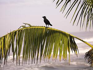 Kerala, India 