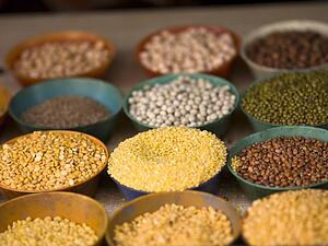 Dried beans, peas and lentils