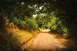 A dirt road