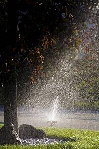 Sprinkler watering a lawn