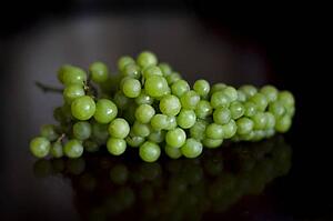 Cluster of green grapes