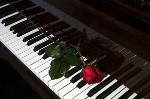 Rose on a piano