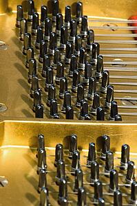 The inside of a piano