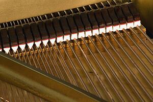 Close up of piano strings