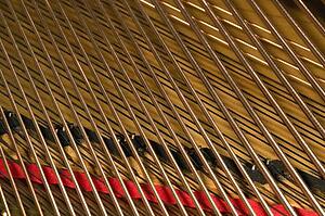 Close up of piano strings