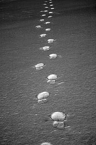 Footprints in snow