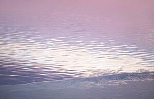 Lakeshore at sunrise