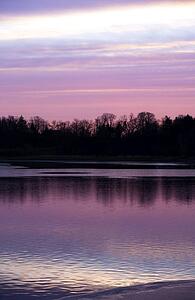 Lake and trees at sunrise