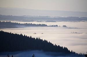 View of fog-covered Willamette Valley from Mt. Scott, Oregon, USA