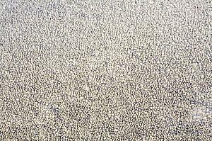 Frost on car window