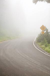 Foggy road, Mount Rainier National Park, Washington, USA