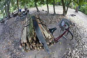 A bicycle and a bundle of firewood