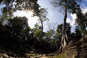 Temple ruins in the ancient city of Angkor Wat, Northwestern Cambodia