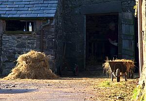 Wheelbarrow beside a barn