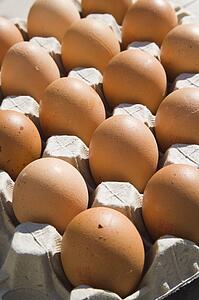 Brown eggs in carton 