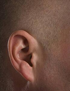Close up of ear