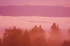Happy Valley, Oregon, USA
