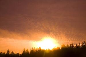 Happy Valley, Oregon, USA