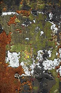 Close-Up Of Weathered Wall