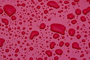 Water drops on pink surface