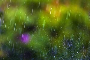 Rainfall