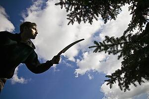 Arborist pruning a tree