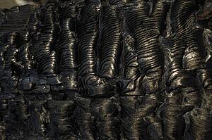 Close-up of charred wood