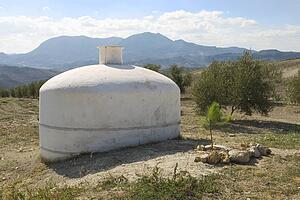 Water deposit for olive trees