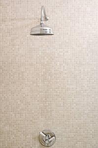 Empty shower