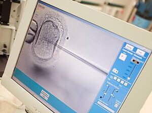 Monitor showing an intra cytoplasmic sperm injection (selective focus)