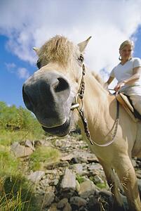 Woman outdoors riding horse in scenic location (fisheye)