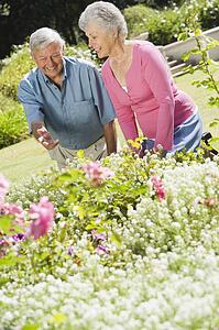 Senior couple in a flower garden