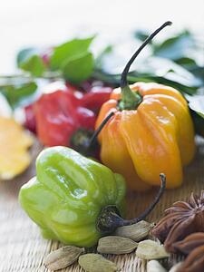 Selection of Asian Spices