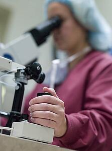 Embryologist with microscope performing an intra cytoplasmic sperm injection (selective focus)