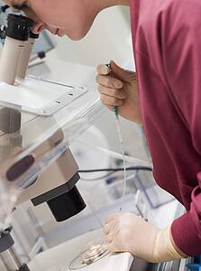 Embryologist adding sperm to egg 