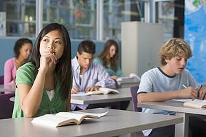 Students studying in geography class