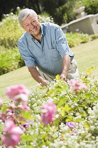 Senior man in a flower garden