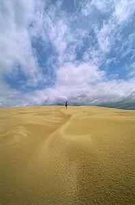 Man outdoors in desert running (far away)