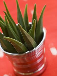 Pot filled with Okra