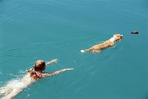 Woman and dog outdoors swimming in lake