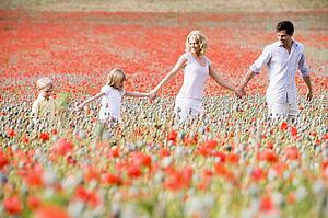 Family walking in poppy field holding hands smiling