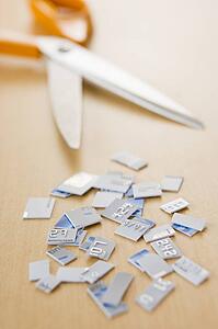 Credit Card In Pieces