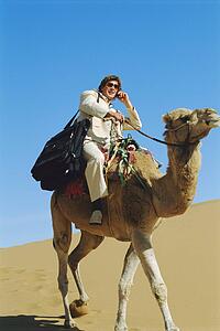 Man outdoors in the desert using a cellular phone on a camel